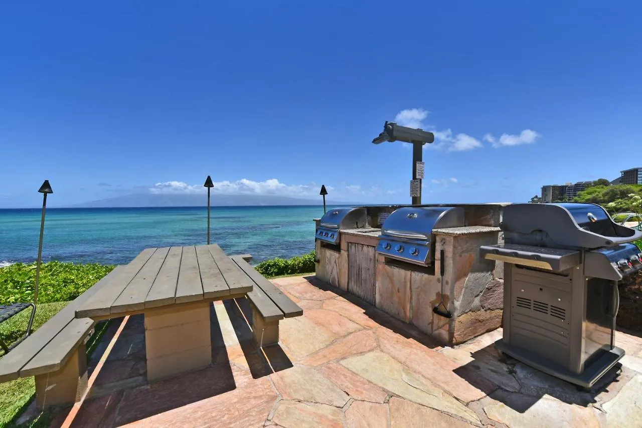 Noelani 215 Villa Kahana Holiday home